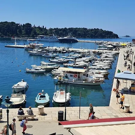 Clorinda Sea View Free Parking *