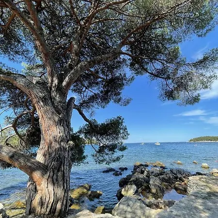 Clorinda Sea View Free Parking * Rovinj