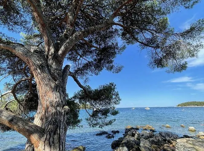 Clorinda Sea View Free Parking * Rovinj